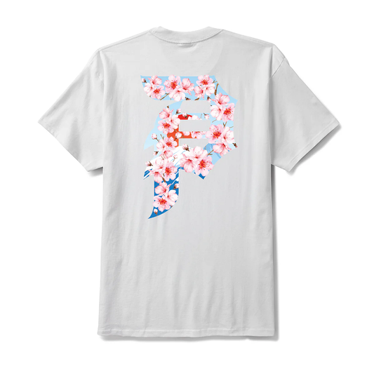 Primitive Rising “White”